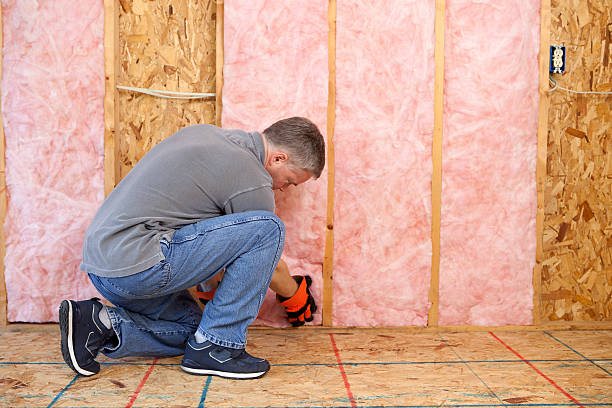 Best Insulation Installation Services in Columbus, IN